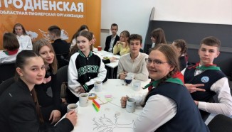 Члены Гродненского молодежного парламента познакомились с методологией АПШИФТ